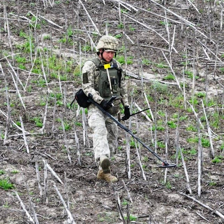 Розмінування у полі